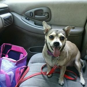 Meet your Posher, Terry